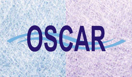 brandzone-2 brandzone-2